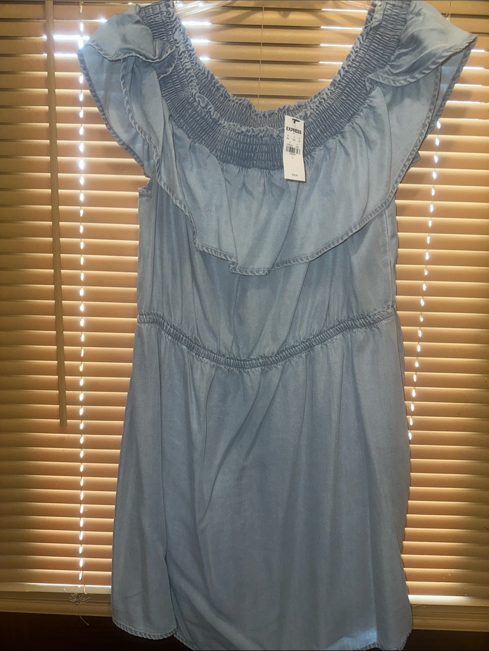 Express Light Blue Smocked Dress
